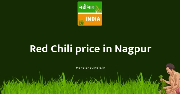 Red Chili price